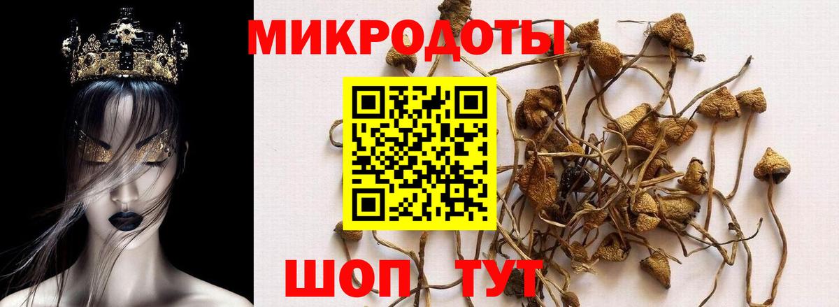 Галлюциногенные грибы Magic Shrooms  Вход с VPN  Псилоцибиновые грибы мицелий  Камышин 