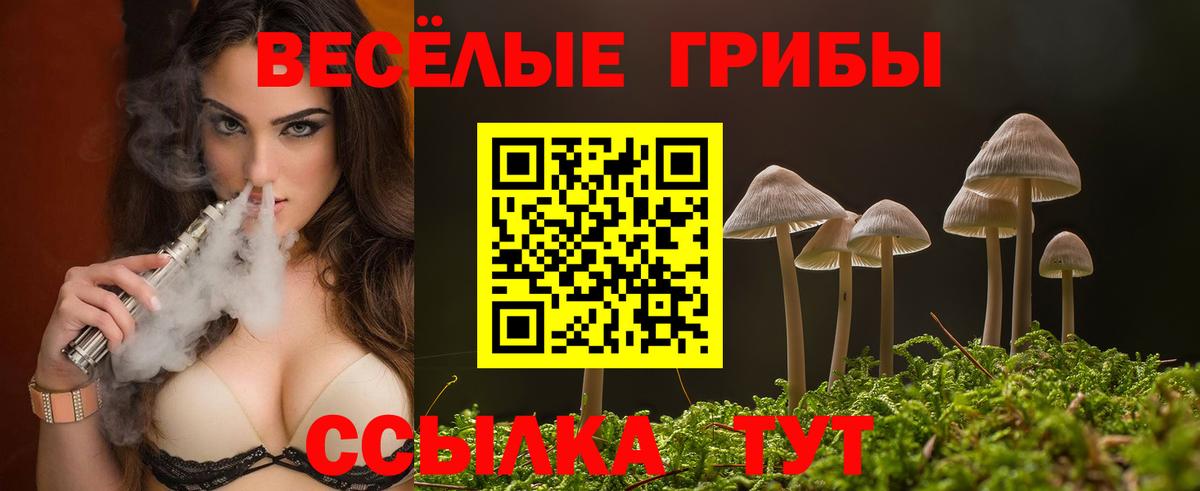 Псилоцибиновые грибы MAGIC MUSHROOMS Камышин